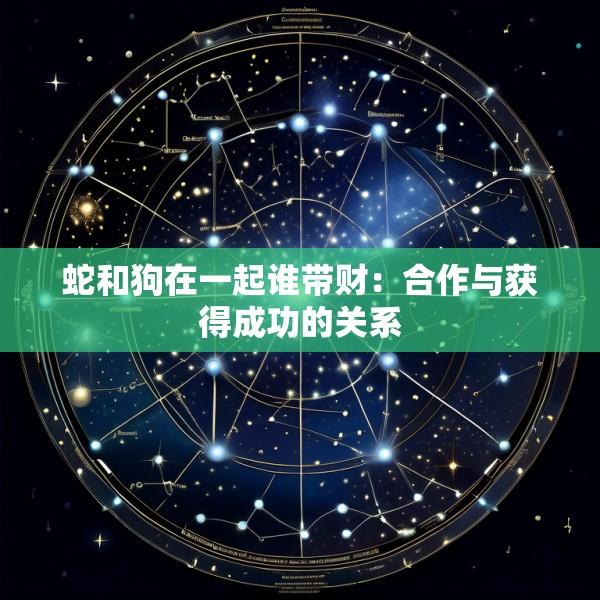 蛇和狗在一起谁带财：合作与获得成功的关系