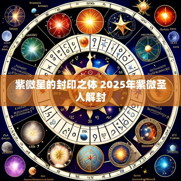紫微星的封印之体 2025年紫微圣人解封