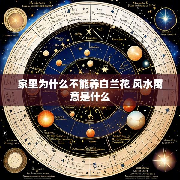家里为什么不能养白兰花 风水寓意是什么