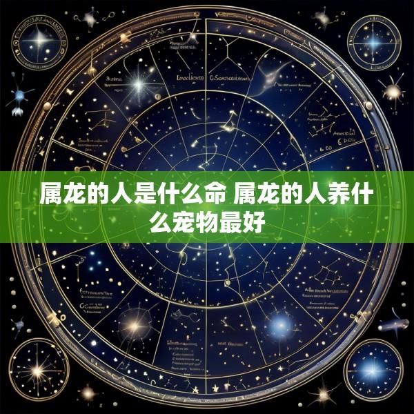 属龙的人是什么命 属龙的人养什么宠物最好