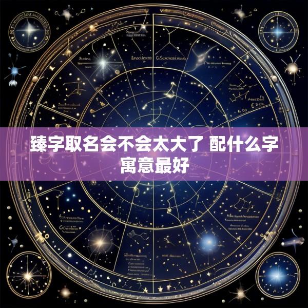 臻字取名会不会太大了 配什么字寓意最好