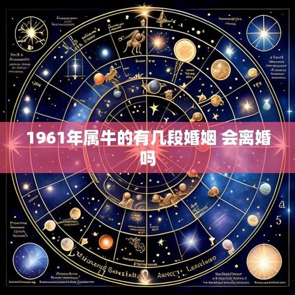 1961年属牛的有几段婚姻 会离婚吗