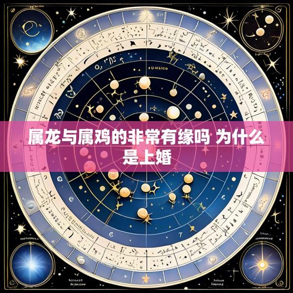 属龙与属鸡的非常有缘吗 为什么是上婚