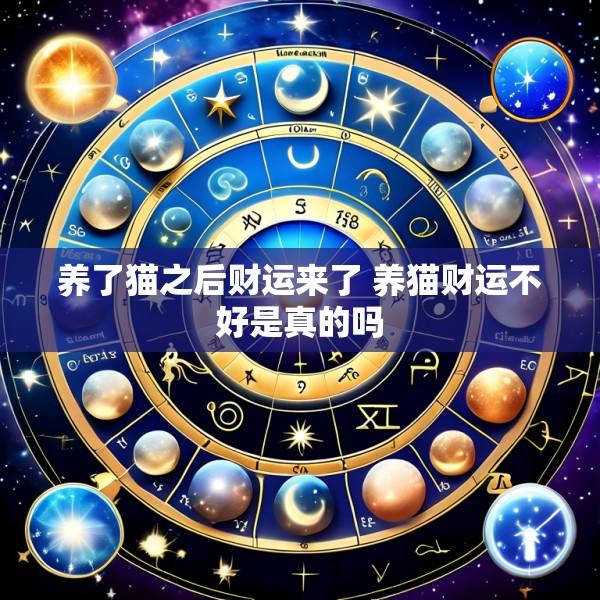 养了猫之后财运来了 养猫财运不好是真的吗