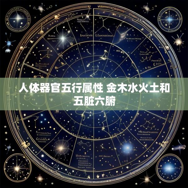 人体器官五行属性 金木水火土和五脏六腑