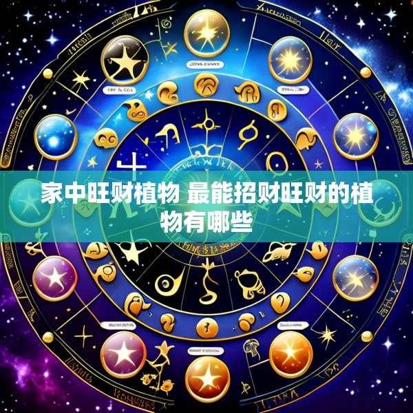 家中旺财植物 最能招财旺财的植物有哪些