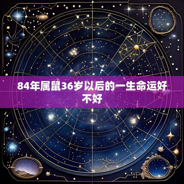 84年属鼠36岁以后的一生命运好不好