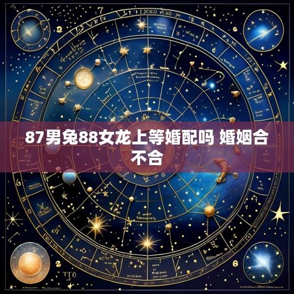 87男兔88女龙上等婚配吗 婚姻合不合