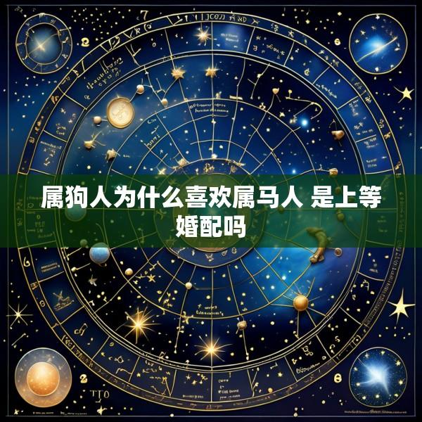 属狗人为什么喜欢属马人 是上等婚配吗