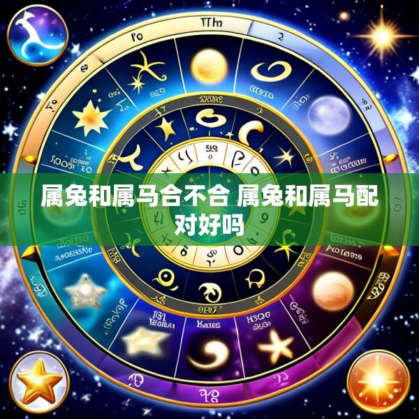 属兔和属马合不合 属兔和属马配对好吗