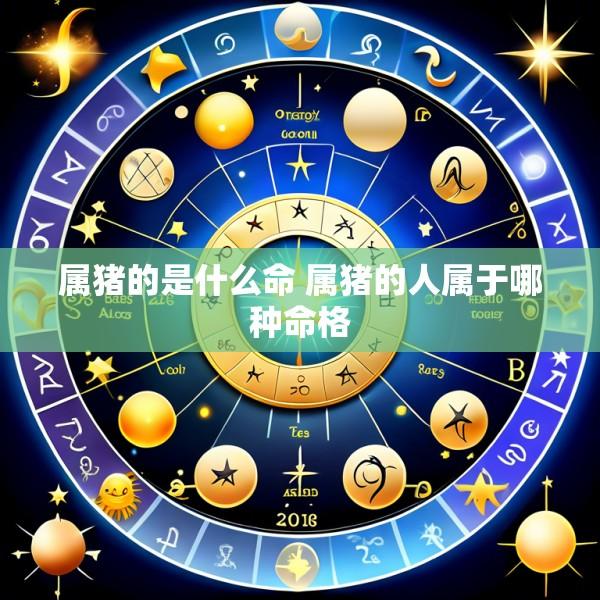 属猪的是什么命 属猪的人属于哪种命格