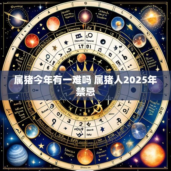 属猪今年有一难吗 属猪人2025年禁忌
