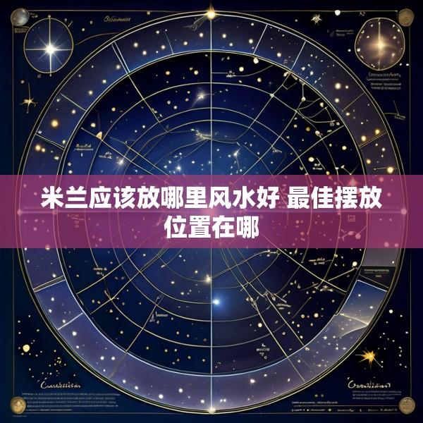 米兰应该放哪里风水好 最佳摆放位置在哪