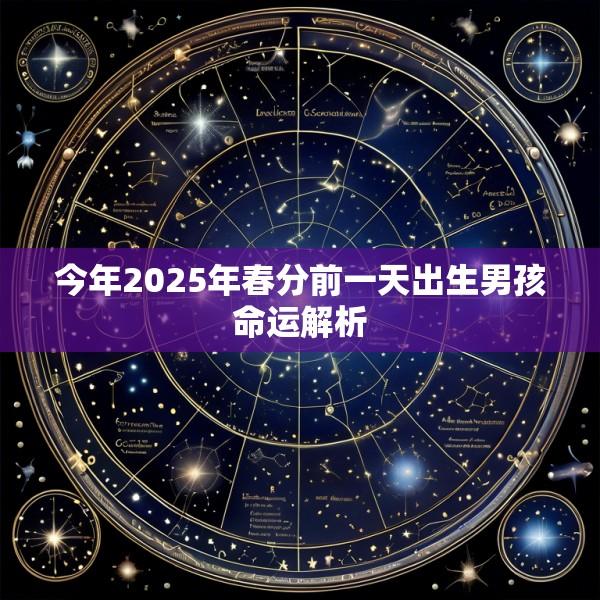 今年2025年春分前一天出生男孩命运解析