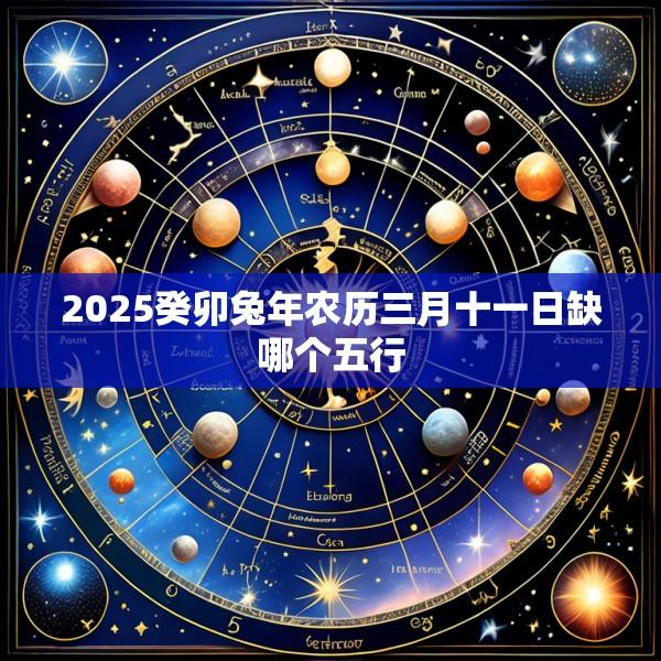 2025癸卯兔年农历三月十一日缺哪个五行