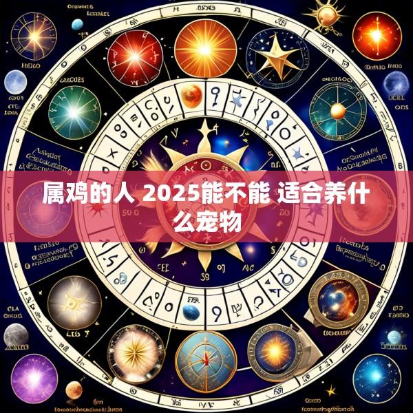 属鸡的人 2025能不能 适合养什么宠物