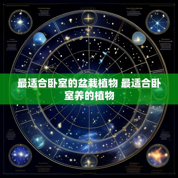 最适合卧室的盆栽植物 最适合卧室养的植物
