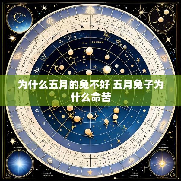 为什么五月的兔不好 五月兔子为什么命苦