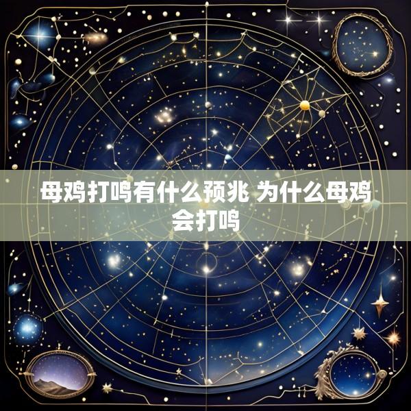 母鸡打鸣有什么预兆 为什么母鸡会打鸣