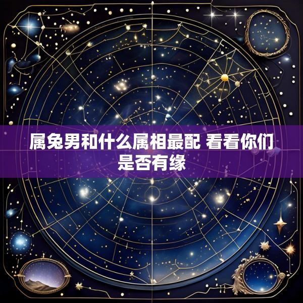 属兔男和什么属相最配 看看你们是否有缘