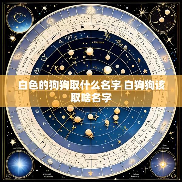 白色的狗狗取什么名字 白狗狗该取啥名字