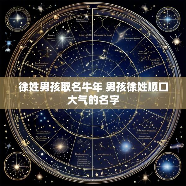 徐姓男孩取名牛年 男孩徐姓顺口大气的名字