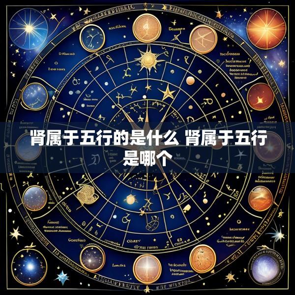 肾属于五行的是什么 肾属于五行是哪个