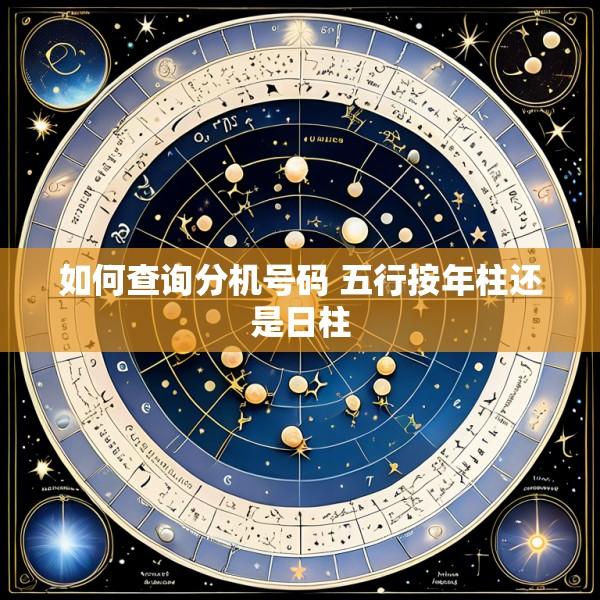 如何查询分机号码 五行按年柱还是日柱