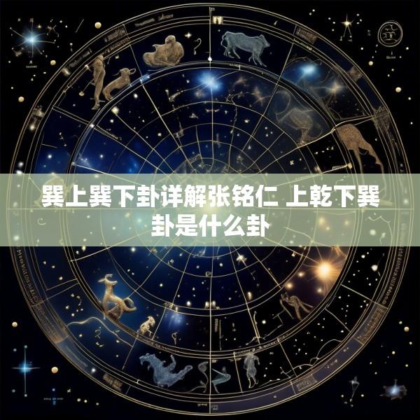 巽上巽下卦详解张铭仁 上乾下巽卦是什么卦