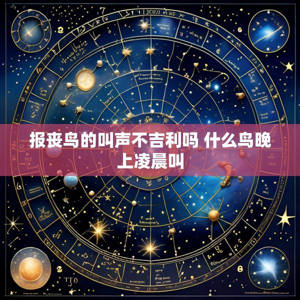 报丧鸟的叫声不吉利吗 什么鸟晚上凌晨叫