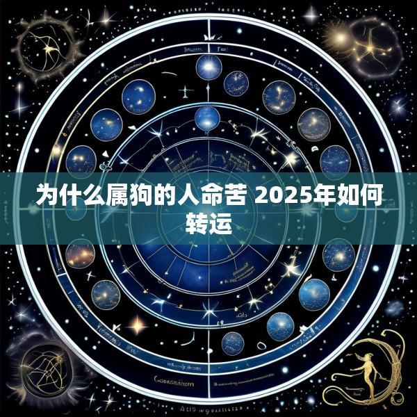 为什么属狗的人命苦 2025年如何转运