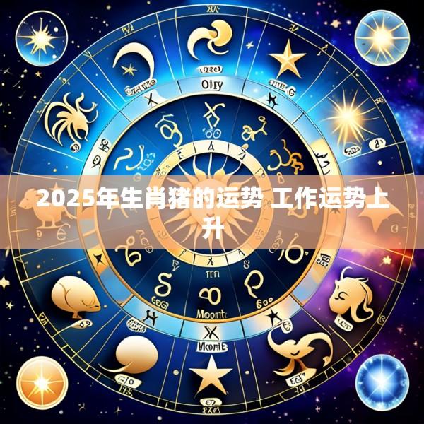 2025年生肖猪的运势 工作运势上升