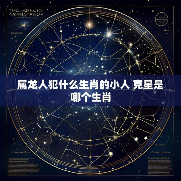 属龙人犯什么生肖的小人 克星是哪个生肖