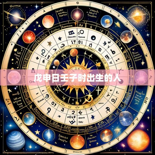戊申日壬子时出生的人