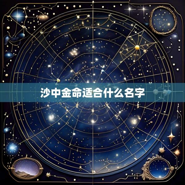 沙中金命适合什么名字