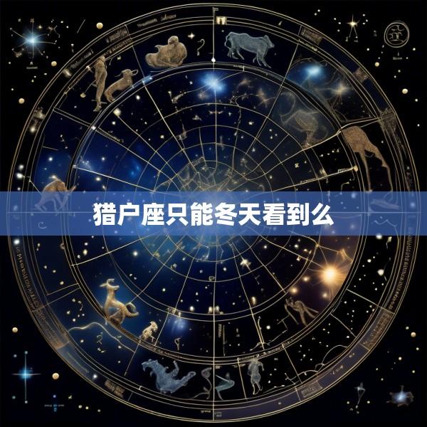 猎户座只能冬天看到么