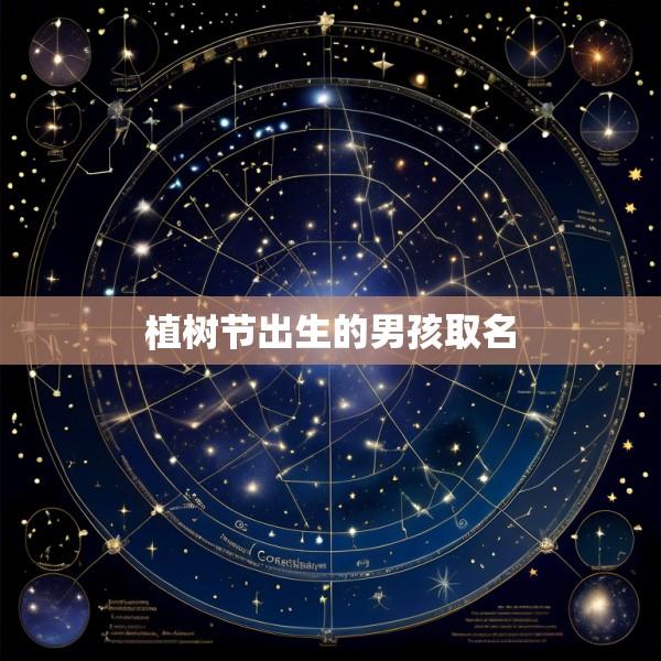 植树节出生的男孩取名