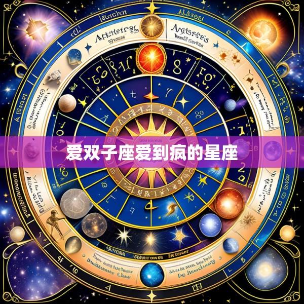 爱双子座爱到疯的星座