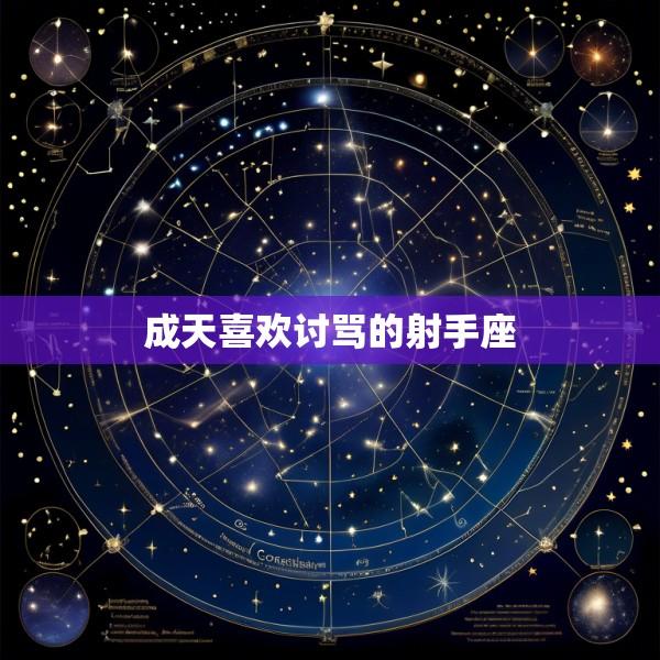 成天喜欢讨骂的射手座