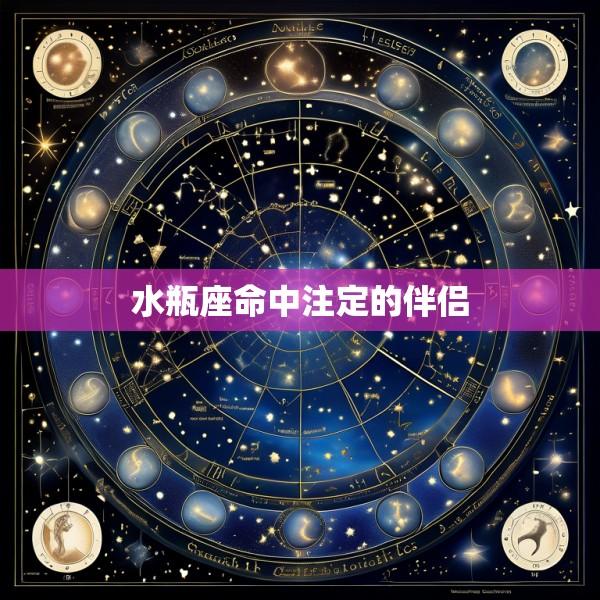 水瓶座命中注定的伴侣
