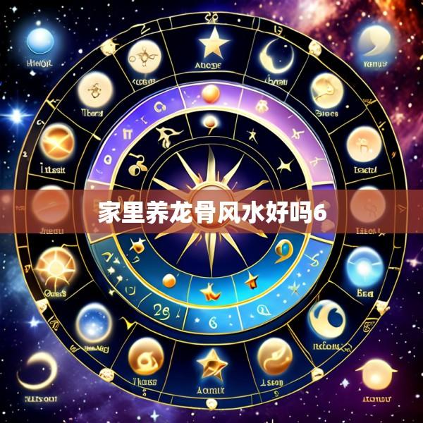 家里养龙骨风水好吗6