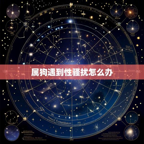 属狗遇到性骚扰怎么办