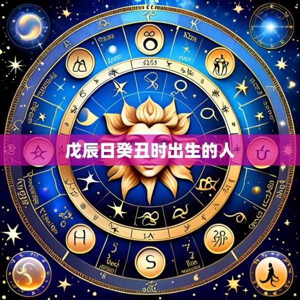 戊辰日癸丑时出生的人