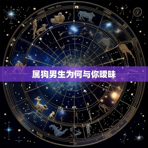 属狗男生为何与你暧昧