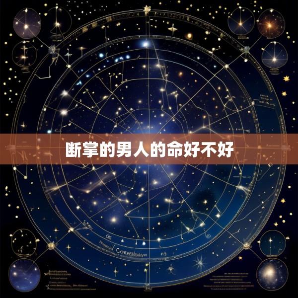 断掌的男人的命好不好