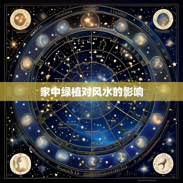 家中绿植对风水的影响