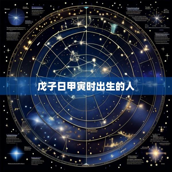 戊子日甲寅时出生的人