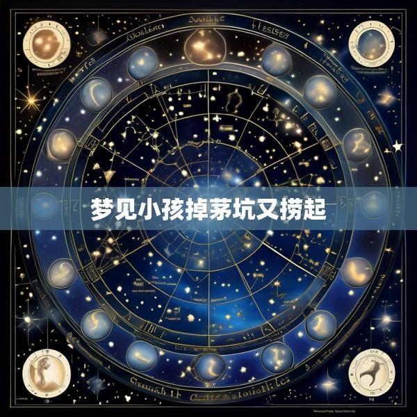 梦见小孩掉茅坑又捞起