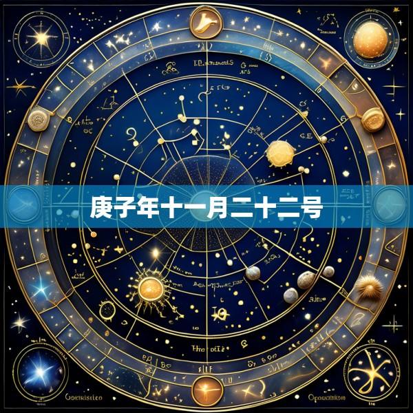 庚子年十一月二十二号