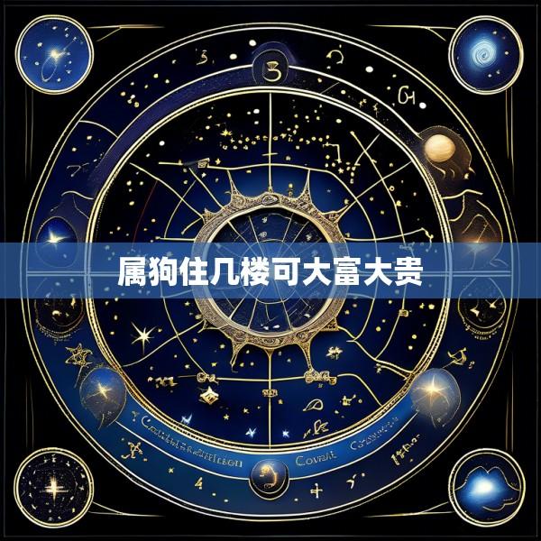 属狗住几楼可大富大贵